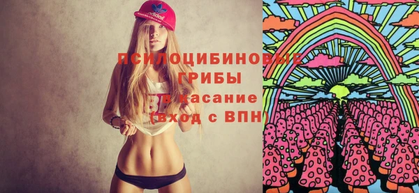 метадон Алексин